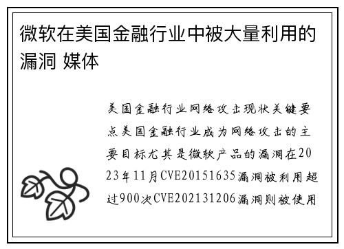 微软在美国金融行业中被大量利用的漏洞 媒体